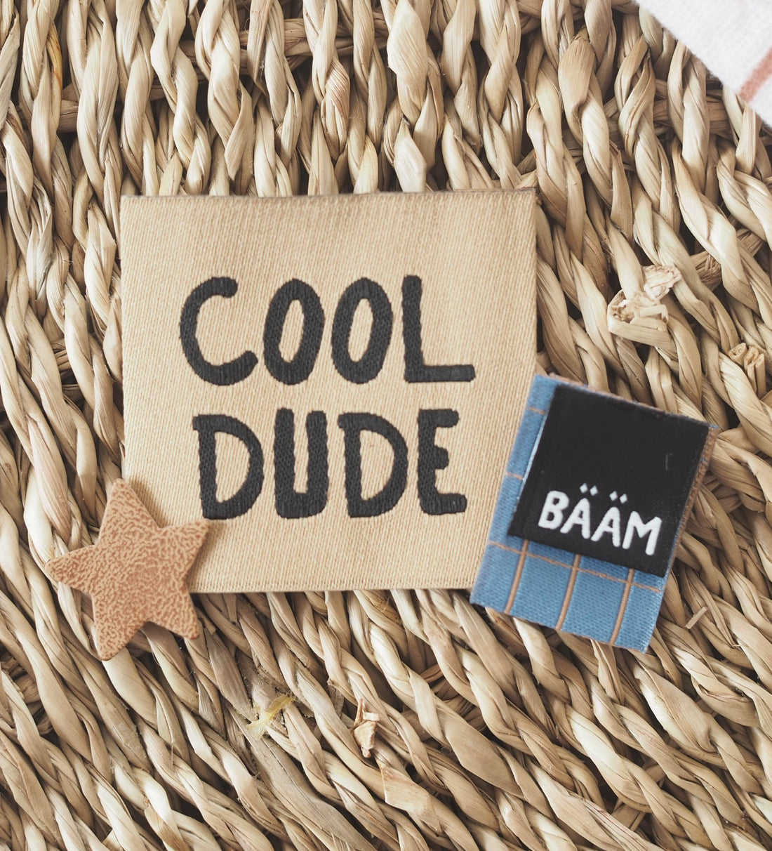 Weblabel *cool dude* Braun - Paul &amp; Clara