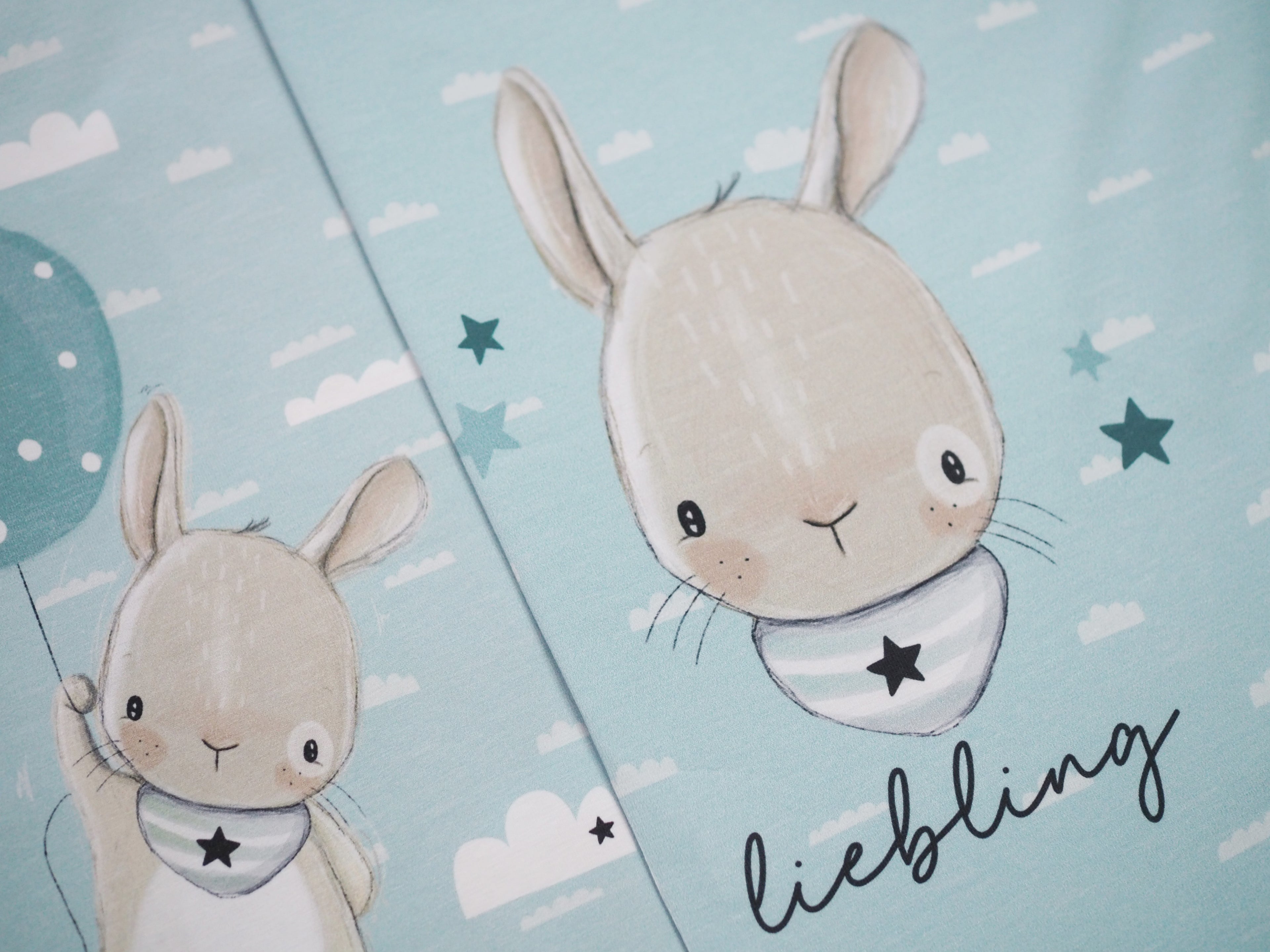 Geburtstags Elmo - Panel Mint Hase mit Sternchen - *Bio-Jersey*